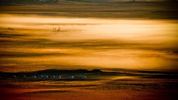 _MG_3312.jpg