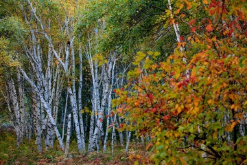 _MG_3848.jpg