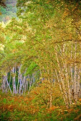 _MG_3834.jpg