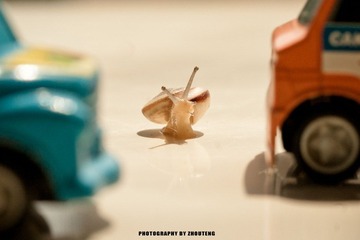 IMG_7800.jpg