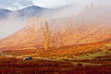 IMG_9204.jpg