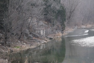 DSCF8509