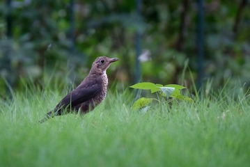 DSCF1358