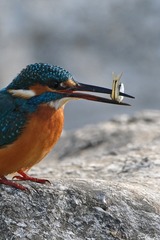 898598