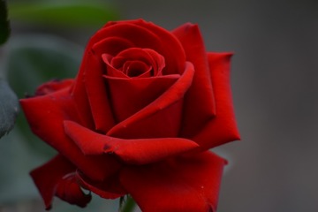 4BC884B0-DB44-4055-95E2-6D6C3006356C/L0/001