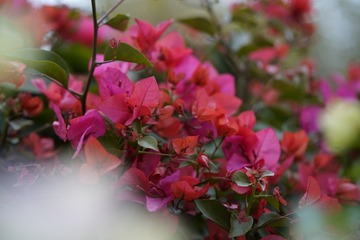 372D9F0A-E0E6-4F37-9B07-C72F72EBA258/L0/001