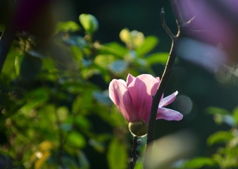 6E5807EA-CF3F-4ED1-BC5D-DE67B81D58C4/L0/001