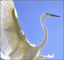 A86E8186-416F-48F1-A2E4-0B6DEF582693/L0/001
