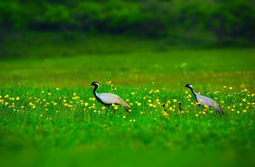1702A95D-EA9F-42E9-9B7A-1B15A0EF7FB0/L0/001