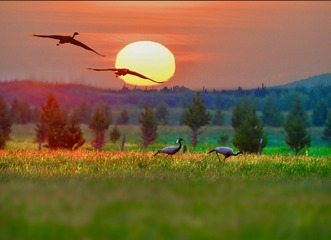 C8AA44BF-9DAE-4DDE-B81D-2228F953C2E2/L0/001