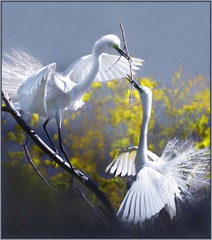 8CE97228-C70A-4A33-B1F4-7CAE2AB39AF2/L0/001