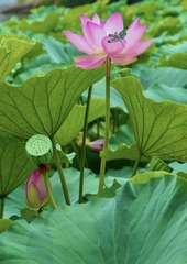 001