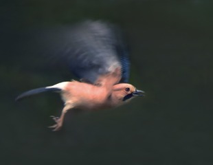 C4422091-A322-4D52-9831-F04D198DCA9B/L0/001