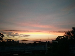 D5BD8346-BB6A-4726-8372-D7A44FD8DCCE/L0/001