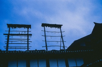 014F1038-E018-4174-A9AE-AC1F4369964C/L0/001