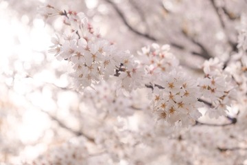 42D1E3AA-B88F-4519-BC27-17E95D230F7A/L0/001