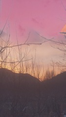 1294150