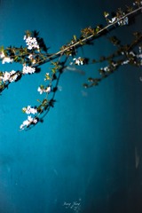 D1458C4E-8514-43D9-99F5-9936C5AD1E11/L0/001