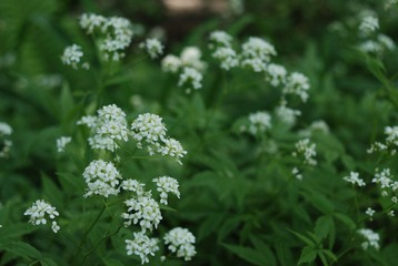 DSC_9769.JPG