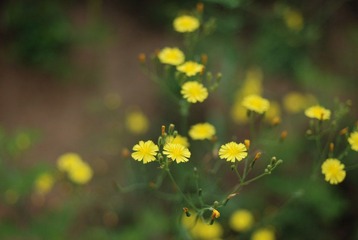 DSC_9830.JPG