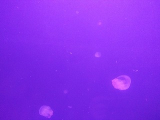 8DDBD755-1072-48D9-B157-C6855A717F4D/L0/001