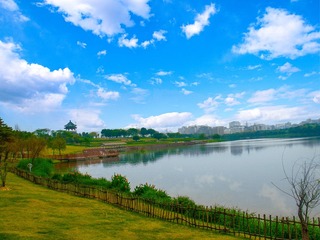 DSCN3063