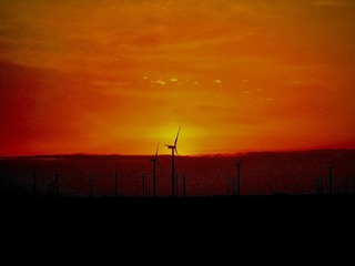9C242519-B522-4C60-8B74-BC32B39EEBEB/L0/001