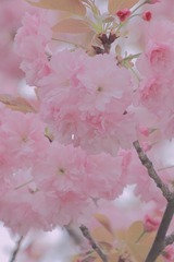 37F2929B-B7EE-443D-A5EE-3E8130E0EB80/L0/001