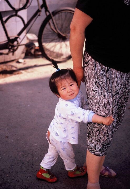 董家渡小P孩<br />