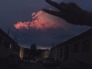 1769017