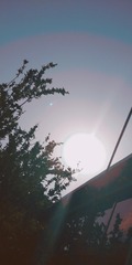 1068810