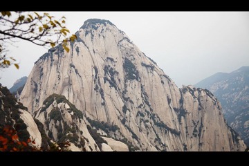 IMG_0719.jpg