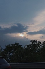 5348866F-E4F4-48E7-B06F-E24C89544017/L0/001