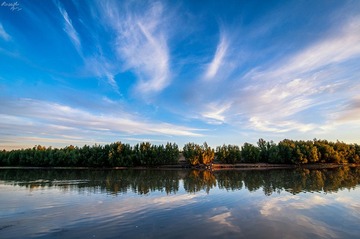 DSC_0233.jpg