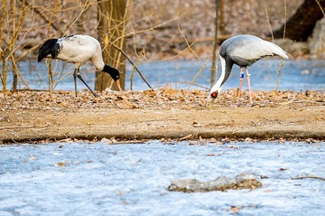 DSC_9987.jpg