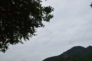 17071