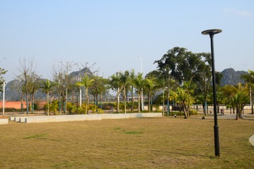 18009