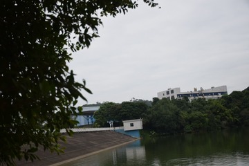 18090