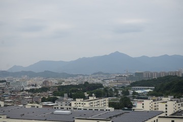 17054