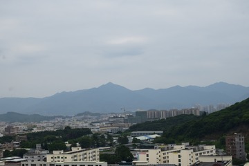 18071