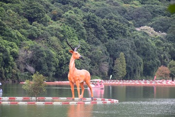 18096