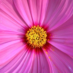 IMAG0448.jpg