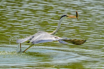 WJ6_8983
