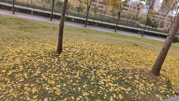 1000068125