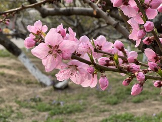 D957384D-E1CC-4EEC-9F09-D872817EC577/L0/001