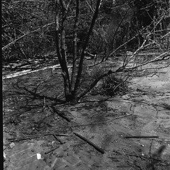 IMG130.jpg