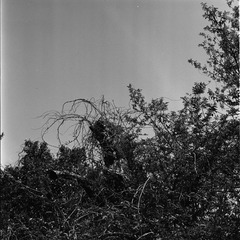 IMG135.jpg