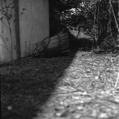 IMG148.jpg