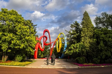 19559