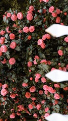 4F5F049E-8A35-4DD9-BF8E-12D4465A7E1A/L0/001